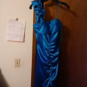 Long evening dress with fish tail bottom . size 3/